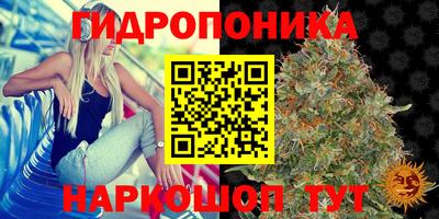 первитин Дубна